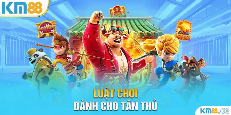 Luật chơi dành cho tân thủ